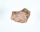 FileNo.109-602.jpg