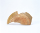 FileNo.109-618.jpg
