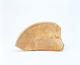 FileNo.109-632.jpg