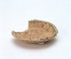 FileNo.109-642.jpg