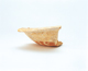 FileNo.109-682.jpg