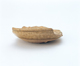 FileNo.109-701.jpg