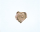 FileNo.109-714.jpg