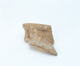 FileNo.109-803.jpg