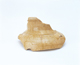 FileNo.109-807.jpg