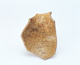 FileNo.109-816.jpg