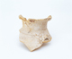 FileNo.109-821.jpg