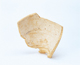 FileNo.109-842.jpg