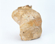 FileNo.109-849.jpg
