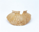 FileNo.109-876.jpg