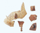 FileNo.109-892.jpg