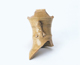 FileNo.109-922.jpg