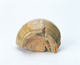 FileNo.109-933.jpg