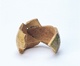 FileNo.109-934.jpg