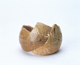 FileNo.109-935.jpg
