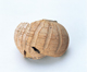 FileNo.109-953.jpg