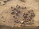 FileNo.110-005.jpg