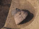 FileNo.110-010.jpg
