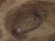 FileNo.110-011.jpg