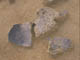 FileNo.110-016.jpg