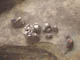 FileNo.110-023.jpg