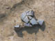 FileNo.110-033.jpg