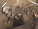 FileNo.110-036.jpg