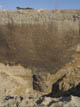 FileNo.110-041.jpg