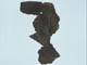 FileNo.110-048.jpg
