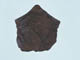 FileNo.110-051.jpg