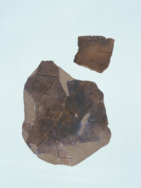 FileNo.110-067.jpg