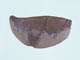 FileNo.110-070.jpg