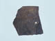 FileNo.110-074.jpg