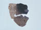 FileNo.110-075.jpg