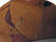 FileNo.110-091.jpg