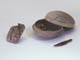 FileNo.110-123.jpg