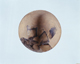 FileNo.110-143.jpg