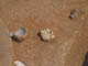 FileNo.111b-011.jpg