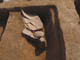 FileNo.111b-016.jpg