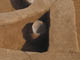 FileNo.111b-017.jpg