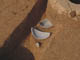 FileNo.111b-018.jpg
