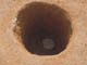 FileNo.111b-034.jpg