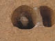 FileNo.111b-035.jpg
