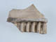 FileNo.111b-057.jpg