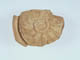 FileNo.111b-058.jpg