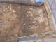 FileNo.112-008.jpg