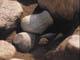 FileNo.112-020.jpg