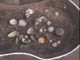 FileNo.112-022.jpg