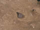 FileNo.112-025.jpg