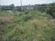 FileNo.113a-011.jpg